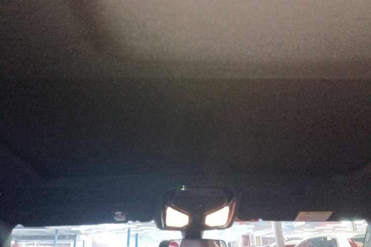 Used BMW 5 Series 2022 525Li M Sport Package Headliner