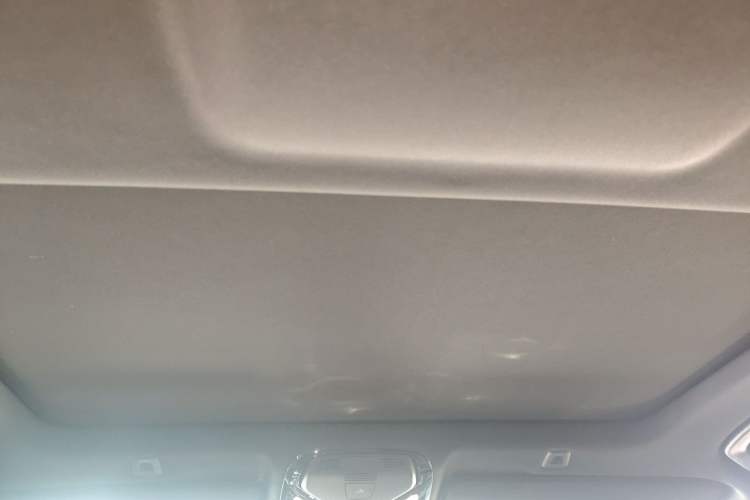 Used BMW 5 Series 2022 Second Facelift 525Li M Sport Package Headliner