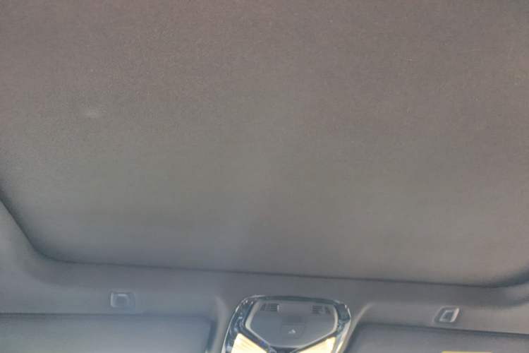 Used BMW 5 Series 2022 Second Facelift 525Li M Sport Package Headliner