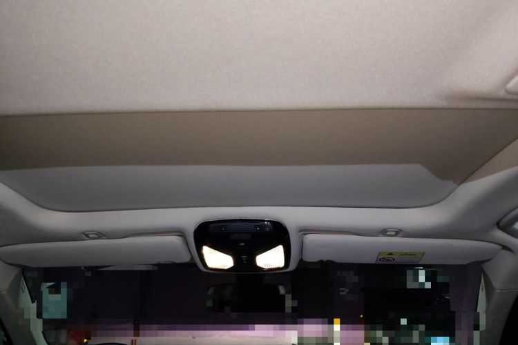 Used BMW 5 Series 2022 Second Facelift 530Li Luxury Edition Premium Package Headliner