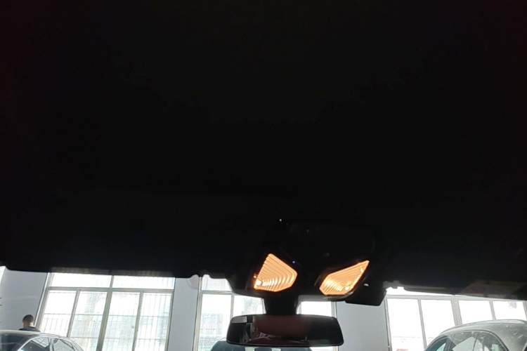 Used BMW 5 Series 2022 530Li xDrive M Sport Package Headliner