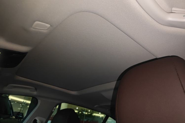 Used BMW 5 Series 2022 Second Facelift 525Li Luxury Package Headliner