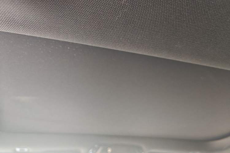 Used BMW 5 Series 2022 Second Facelift 530Li Leading Edition M Sport Package Headliner