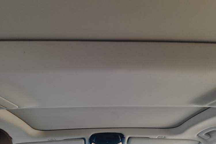 Used BMW 5 Series 2022 530Li Leading Luxury Package Headliner