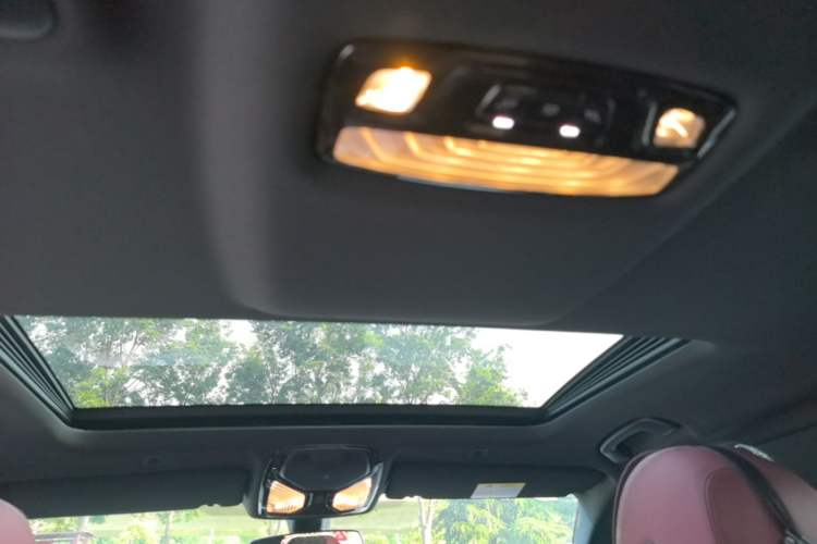 Used BMW 5 Series 2022 Second Facelift 525Li M Sport Package Headliner