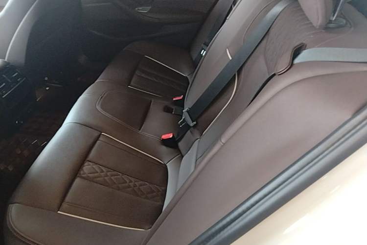 Used BMW 5 Series 2022 Second Facelift 525Li M Sport Package Left Rear Seat