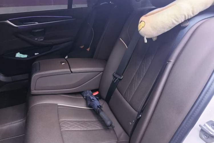 Used BMW 5 Series 2022 Second Facelift 530Li Leading Edition M Sport Package Left Rear Seat