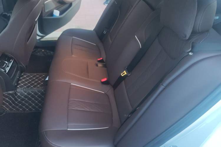 Used BMW 5 Series 2022 Updated 530Li xDrive Luxury Package Left Rear Seat