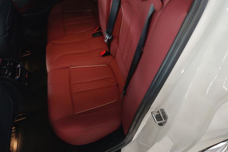 Used BMW 5 Series 2022 Second Facelift 530Li Luxury Edition Premium Package Left Rear Seat