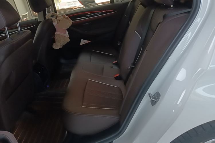 Used BMW 5 Series 2022 Second Facelift 525Li Luxury Package Left Rear Seat