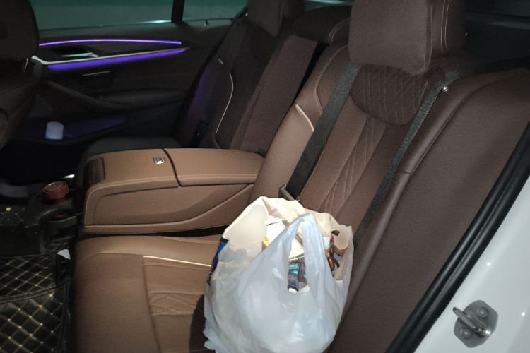 Used BMW 5 Series 2022 Second Facelift 530Li xDrive Luxury Package Left Rear Seat