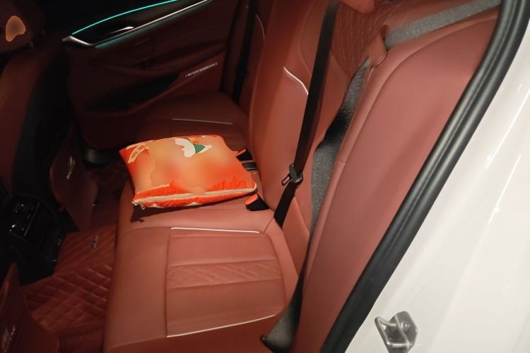 Used BMW 5 Series 2022 Restyled 530Li Leading Edition M Sport Package Left Rear Seat