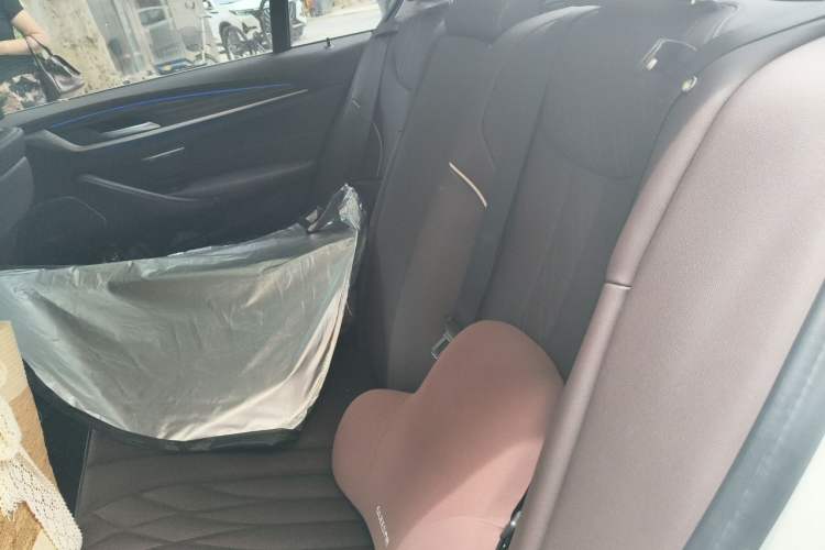 Used BMW 5 Series 2022 Updated 530Li xDrive Luxury Package Left Rear Seat