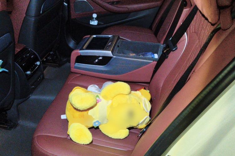 Used BMW 5 Series 2022 530Li Luxury Edition M Sport Package Left Rear Seat