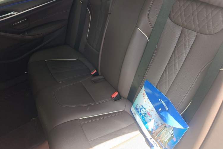 Used BMW 5 Series 2022 530Li xDrive M Sport Package Left Rear Seat