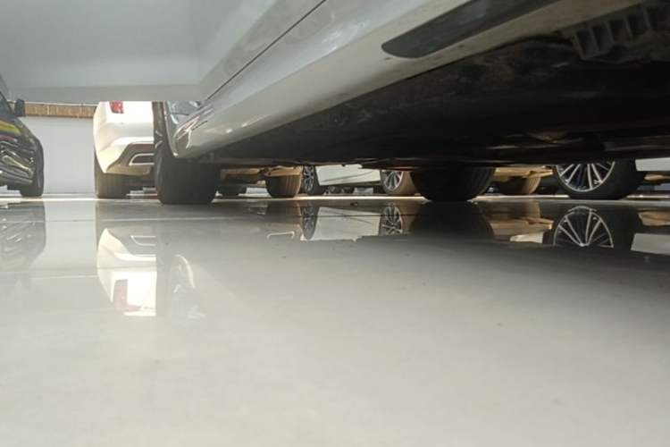 Used BMW 5 Series 2022 Second Facelift 530Li Leading Edition M Sport Package Right Side Sill