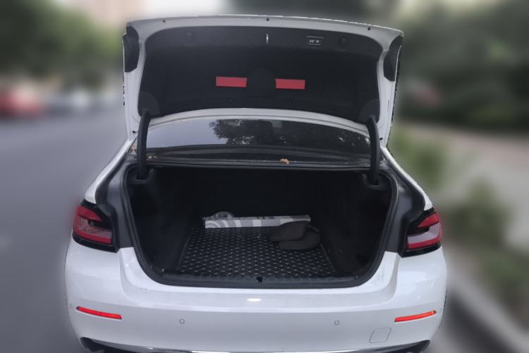 Used BMW 5 Series 2022 Second Facelift 530Li Luxury Edition Premium Package Trunk