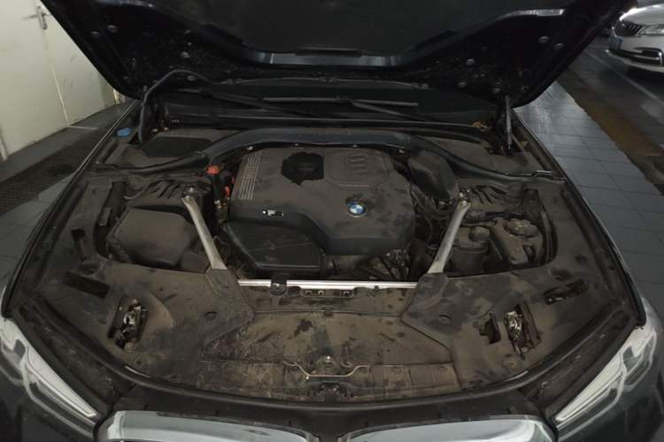 Used BMW 5 Series 2023 530Li Leading Model M Sport Package Engine Bay