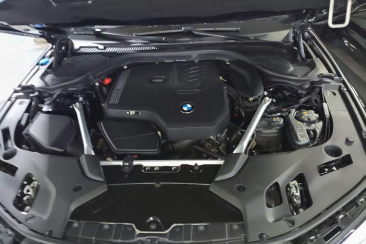 Used BMW 5 Series 2023 530Li Leading Model M Sport Package Engine Bay
