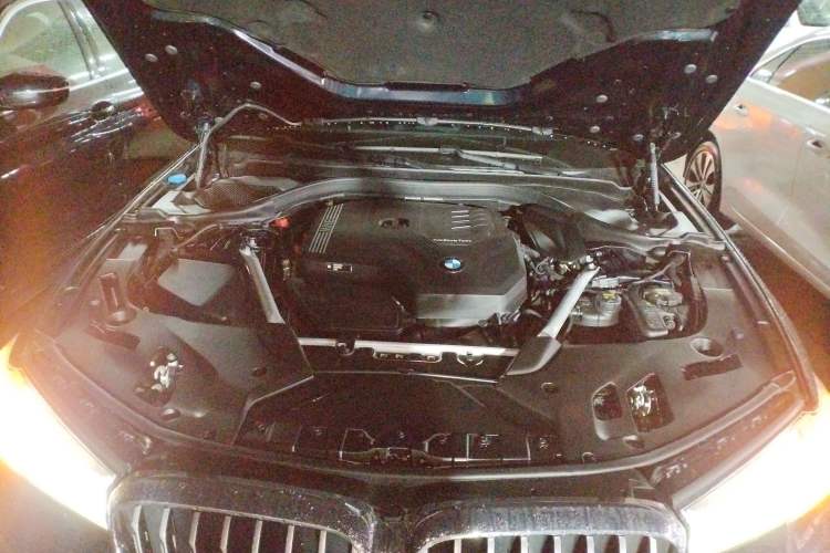Used BMW 5 Series 2023 530Li Leading Model M Sport Package Engine Bay