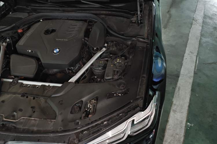 Used BMW 5 Series 2023 530Li Luxury Edition M Sport Package Engine Bay Left
