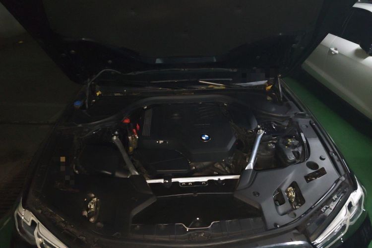 Used BMW 5 Series 2023 530Li Leading Model M Sport Package Engine Bay