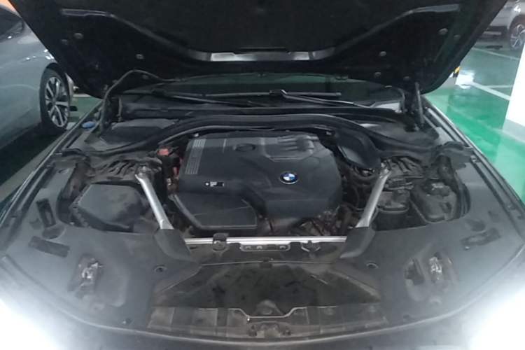 Used BMW 5 Series 2023 530Li Leading Model M Sport Package Engine Bay