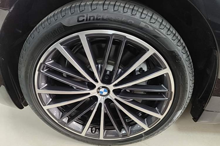 Used BMW 5 Series 2023 530Li Leading Model M Sport Package Exterior 4