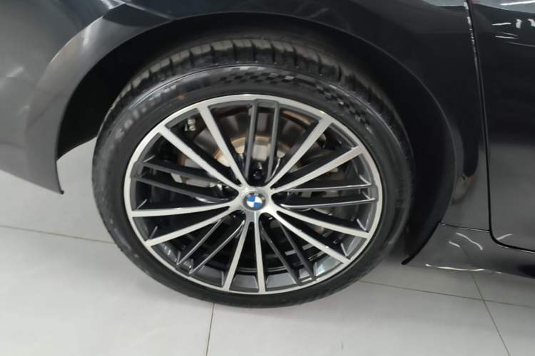 Used BMW 5 Series 2023 530Li Leading Model M Sport Package Exterior 5