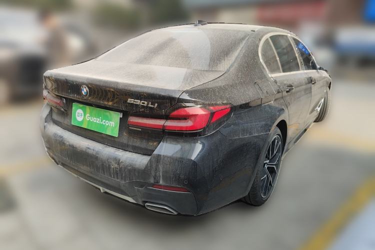 Used BMW 5 Series 2023 530Li Luxury Edition M Sport Package Exterior 5