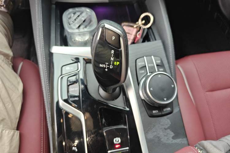 Used BMW 5 Series 2023 530Li Leading Model M Sport Package Gear Lever