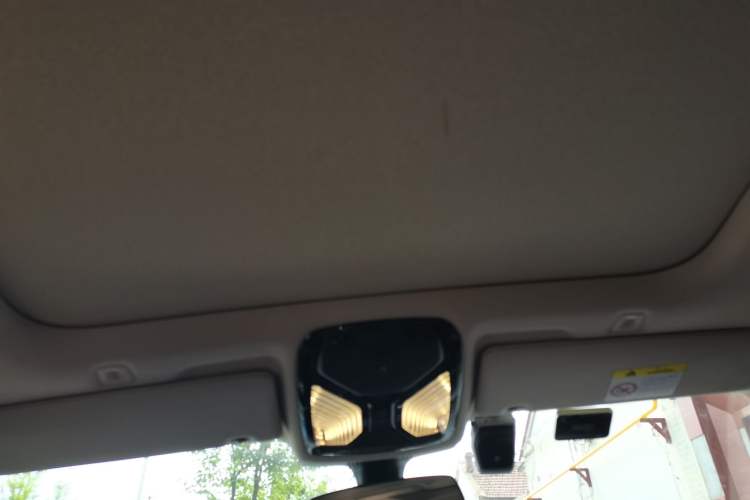 Used BMW 5 Series 2023 530Li Leading Edition Luxury Package Headliner