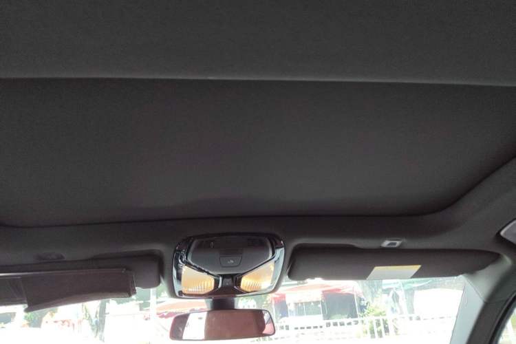 Used BMW 5 Series 2023 530Li Luxury Edition M Sport Package Headliner