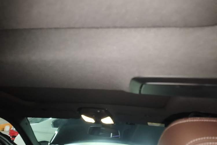Used BMW 5 Series 2023 530Li Leading Model M Sport Package Headliner