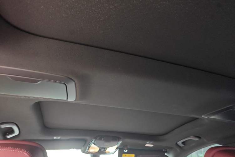 Used BMW 5 Series 2023 530Li Luxury Edition M Sport Package Headliner