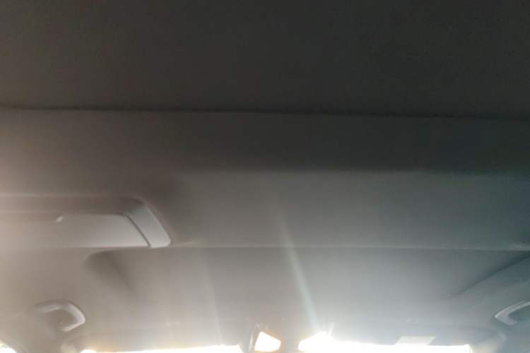 Used BMW 5 Series 2023 530Li Leading Model M Sport Package Headliner
