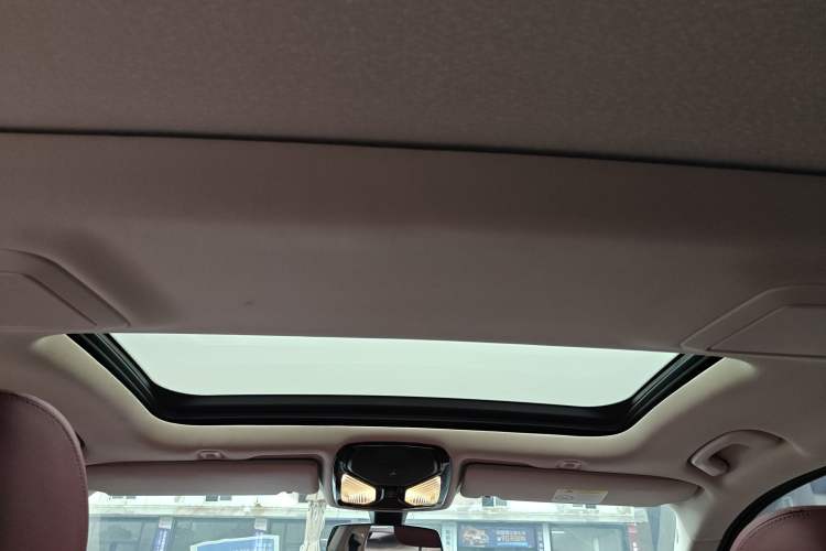 Used BMW 5 Series 2023 530Li Leading Edition Luxury Package Headliner