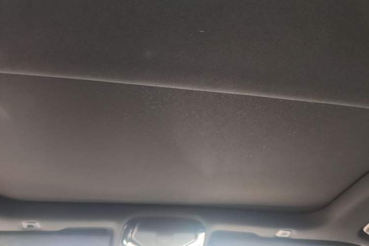 Used BMW 5 Series 2023 530Li Luxury Edition M Sport Package Headliner