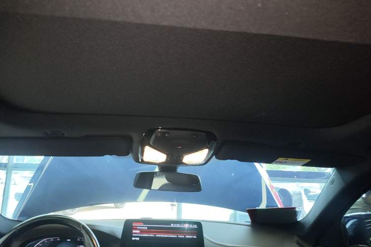 Used BMW 5 Series 2023 530Li Leading Model M Sport Package Headliner