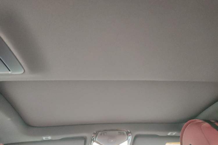 Used BMW 5 Series 2023 530Li Leading Model M Sport Package Headliner