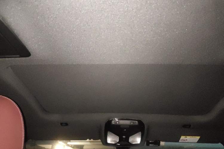 Used BMW 5 Series 2023 530Li Leading Model M Sport Package Headliner