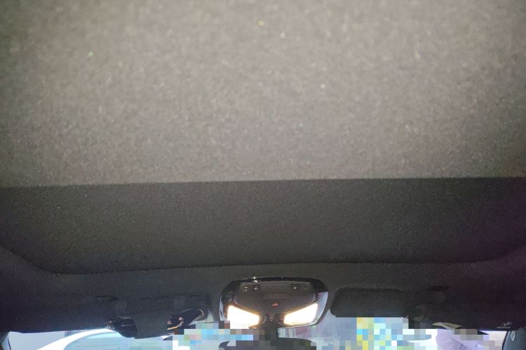 Used BMW 5 Series 2023 530Li Luxury Edition M Sport Package Headliner