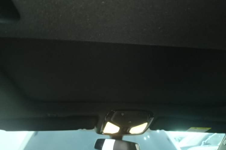 Used BMW 5 Series 2023 530Li Leading Model M Sport Package Headliner