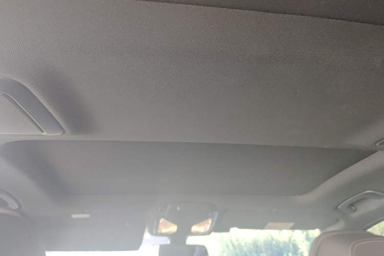Used BMW 5 Series 2023 530Li Luxury Edition M Sport Package Headliner