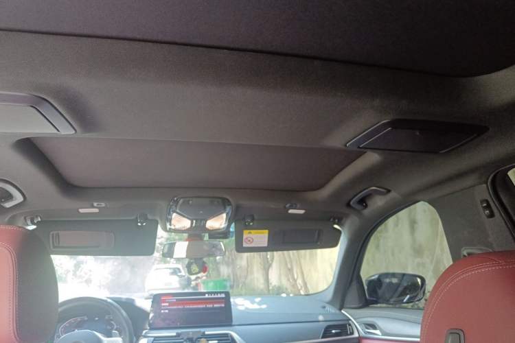 Used BMW 5 Series 2023 530Li Leading Model M Sport Package Headliner