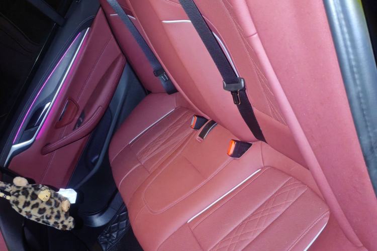 Used BMW 5 Series 2023 530Li Leading Model M Sport Package Left Rear Seat