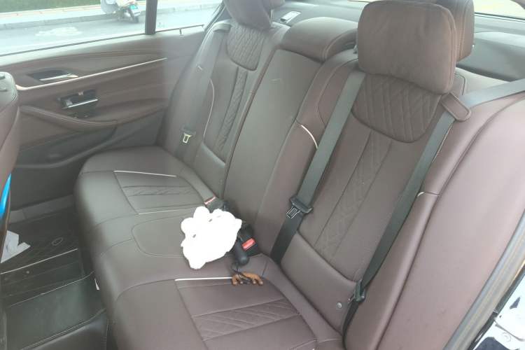 Used BMW 5 Series 2023 530Li Leading Model M Sport Package Left Rear Seat
