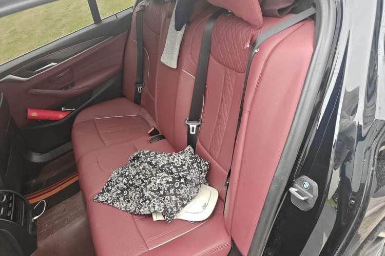 Used BMW 5 Series 2023 530Li Leading Model M Sport Package Left Rear Seat
