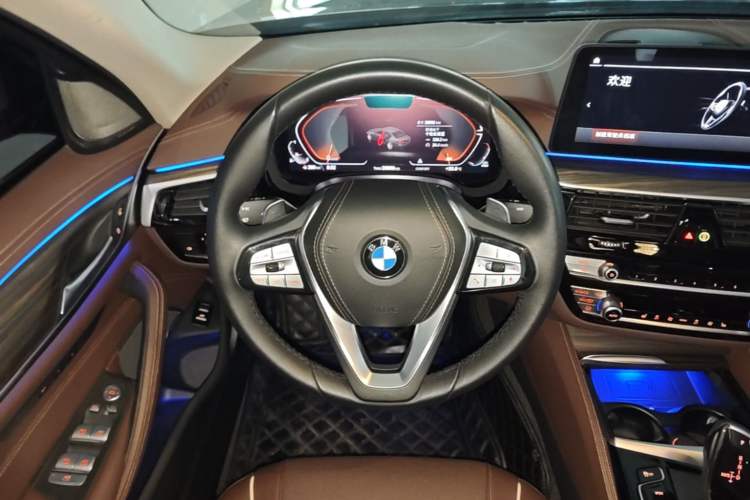Used BMW 5 Series 2023 530Li Leading Edition Luxury Package Steering Wheel