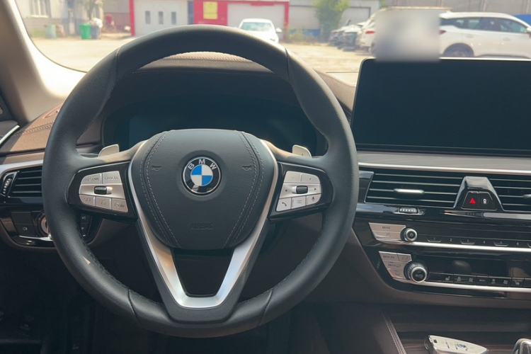 Used BMW 5 Series 2023 530Li Leading Edition Luxury Package Steering Wheel